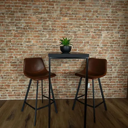 New Designer With Large Terrace * تشيسكي بوديوفيتسه
